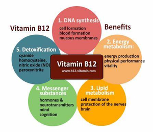 vitamin b12 powder bulk - Lyphar.jpg
