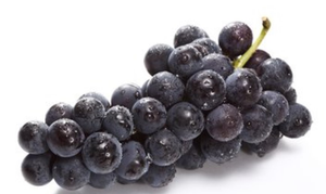 buy grape seed extract powder- Lyphar.png